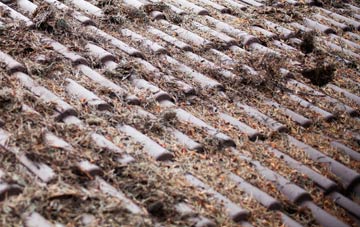 Reedley roof cleaning companies