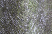 Reedley fibreglass roof work