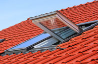 Reedley roof window
